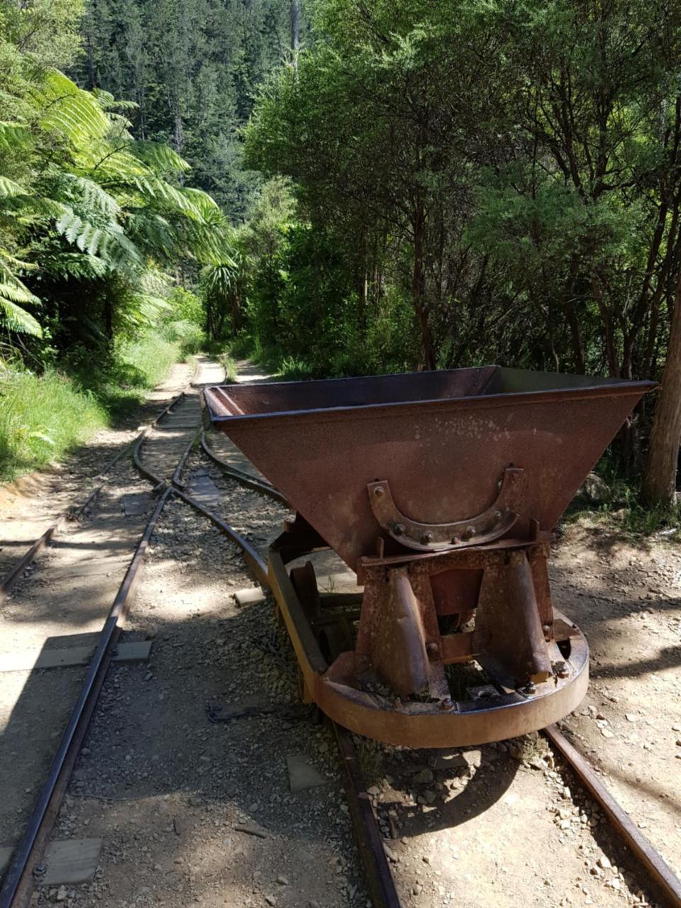 Riverside Accommodation Karangahake エクステリア 写真