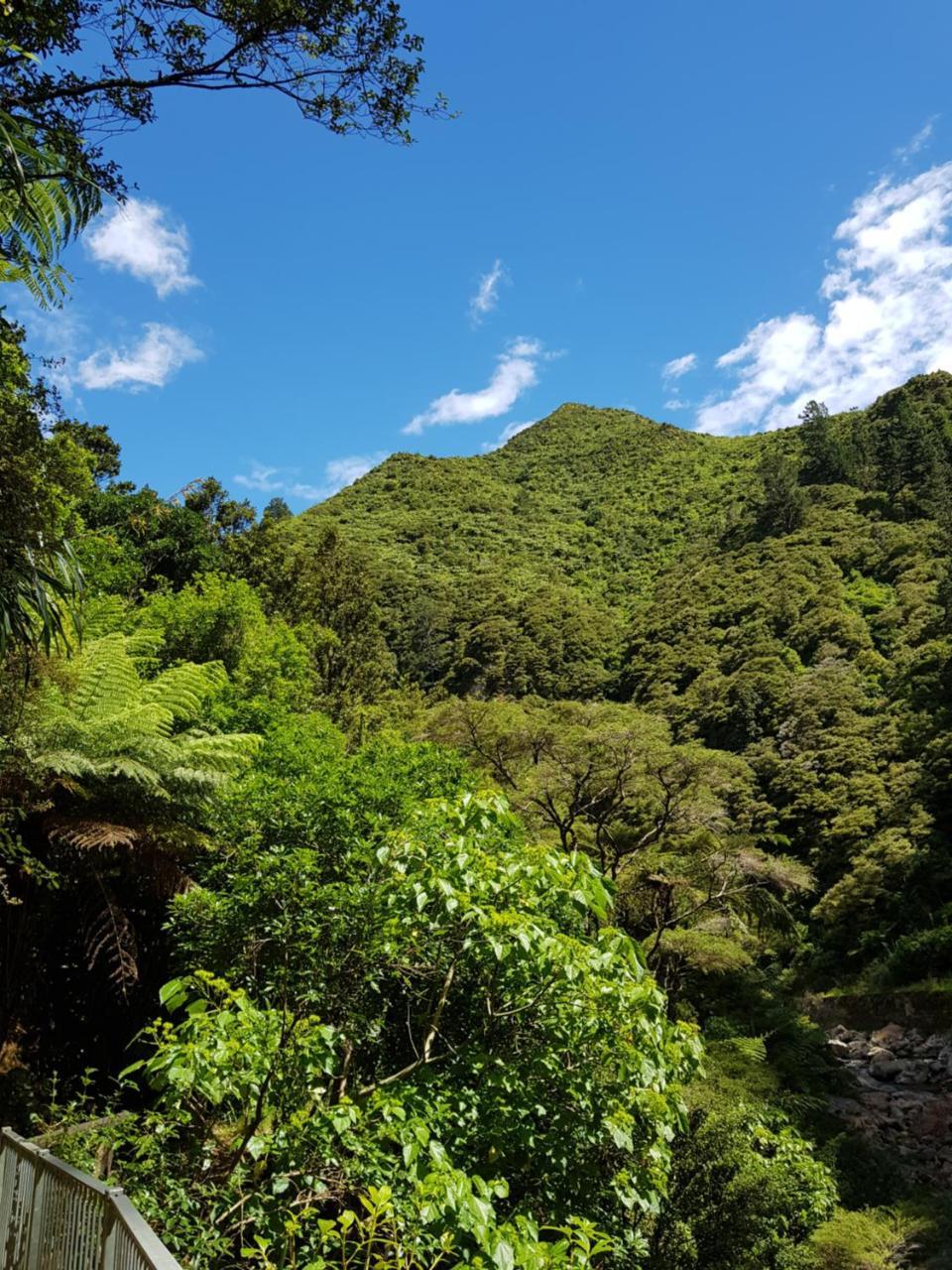 Riverside Accommodation Karangahake エクステリア 写真